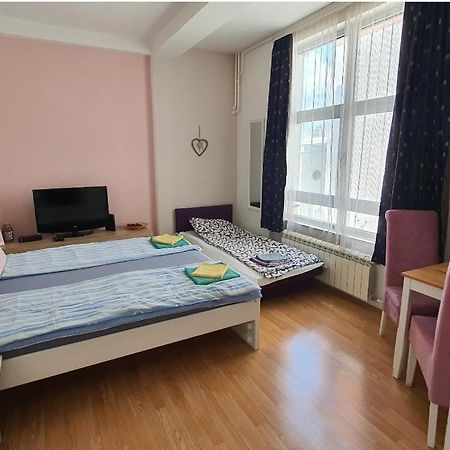 Studio Apartman Ld U Strogom Centru Novi Sad Dış mekan fotoğraf