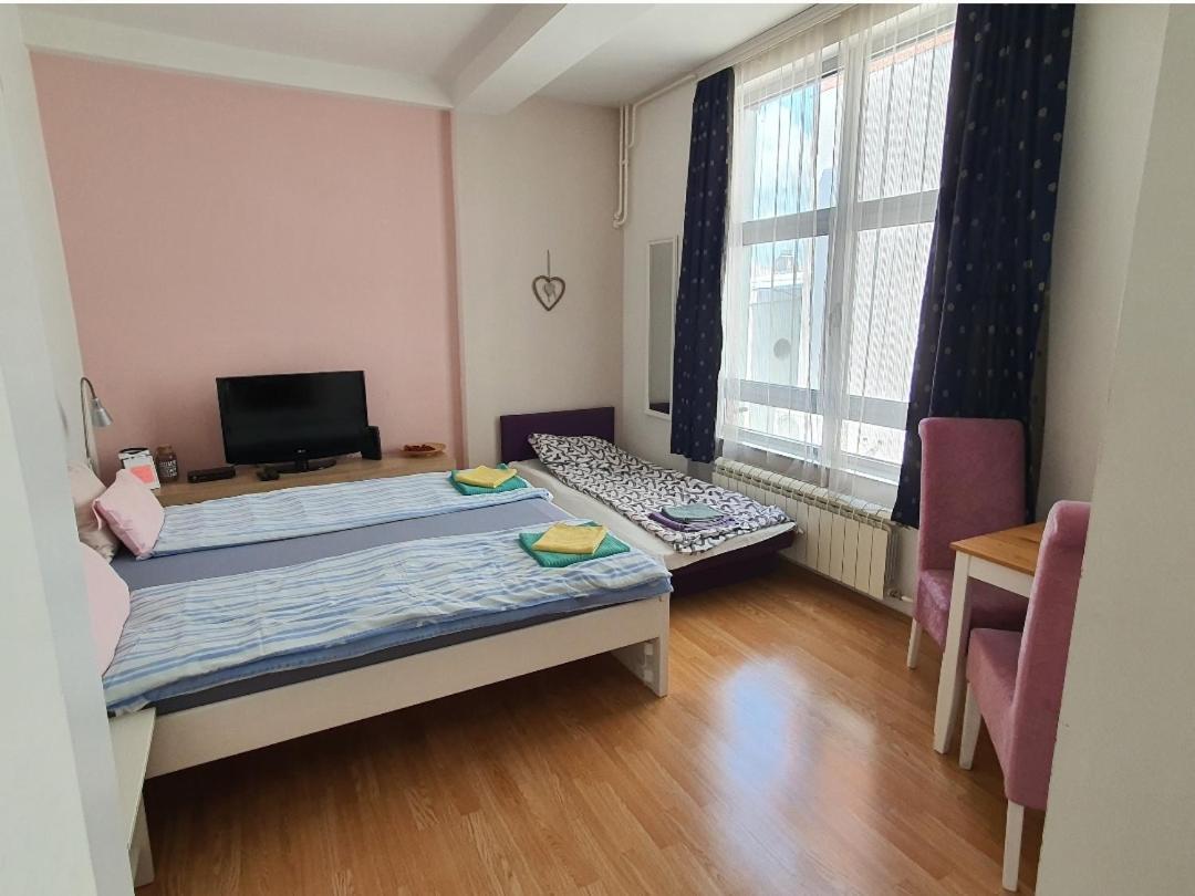 Studio Apartman Ld U Strogom Centru Novi Sad Dış mekan fotoğraf