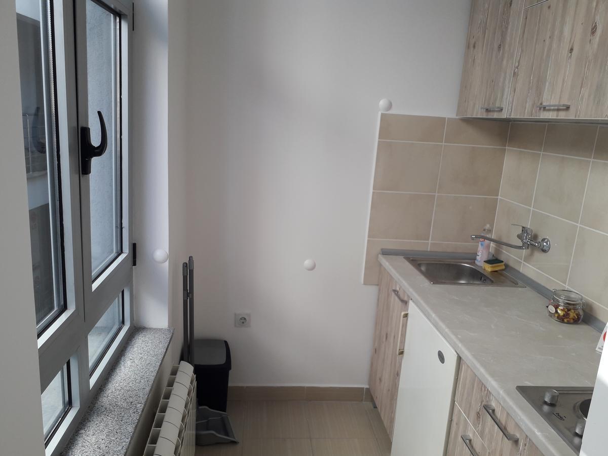 Studio Apartman Ld U Strogom Centru Novi Sad Dış mekan fotoğraf