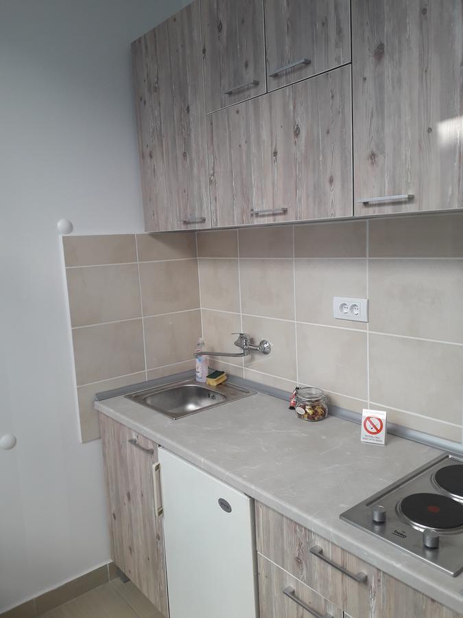 Studio Apartman Ld U Strogom Centru Novi Sad Dış mekan fotoğraf