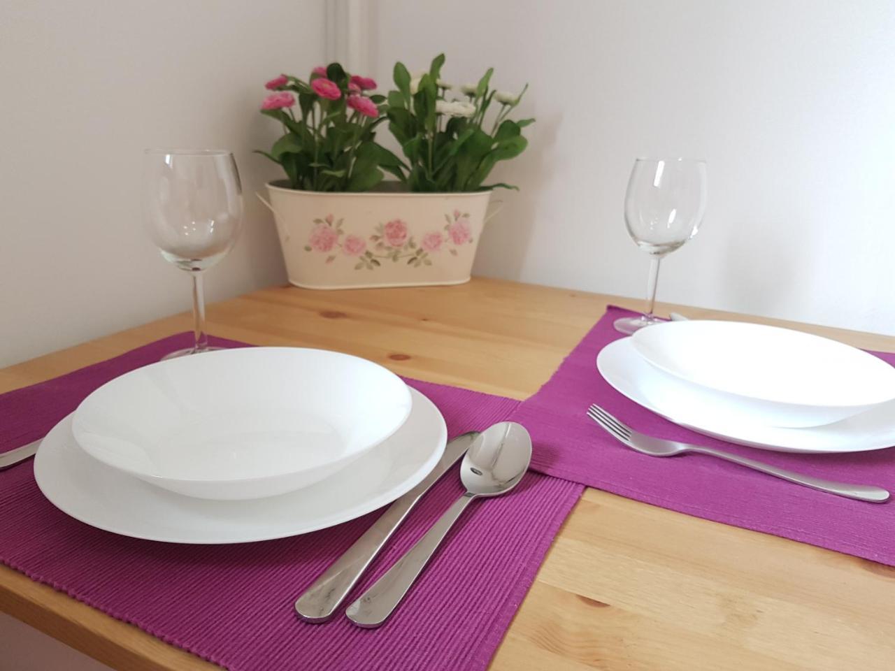 Studio Apartman Ld U Strogom Centru Novi Sad Dış mekan fotoğraf